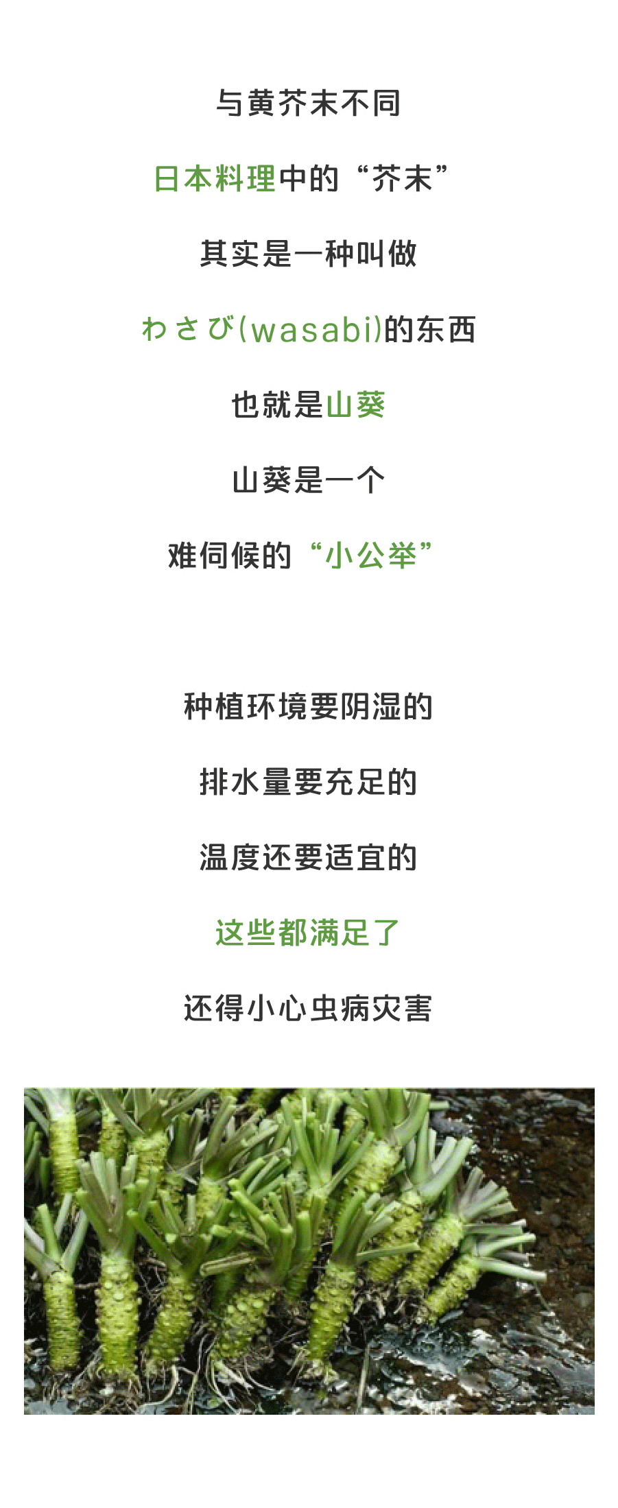 “敏试教育”成为福建电视台2020“品牌福建”新春贺岁互动合作伙伴-星空娱乐网址(图1) 星空娱乐app